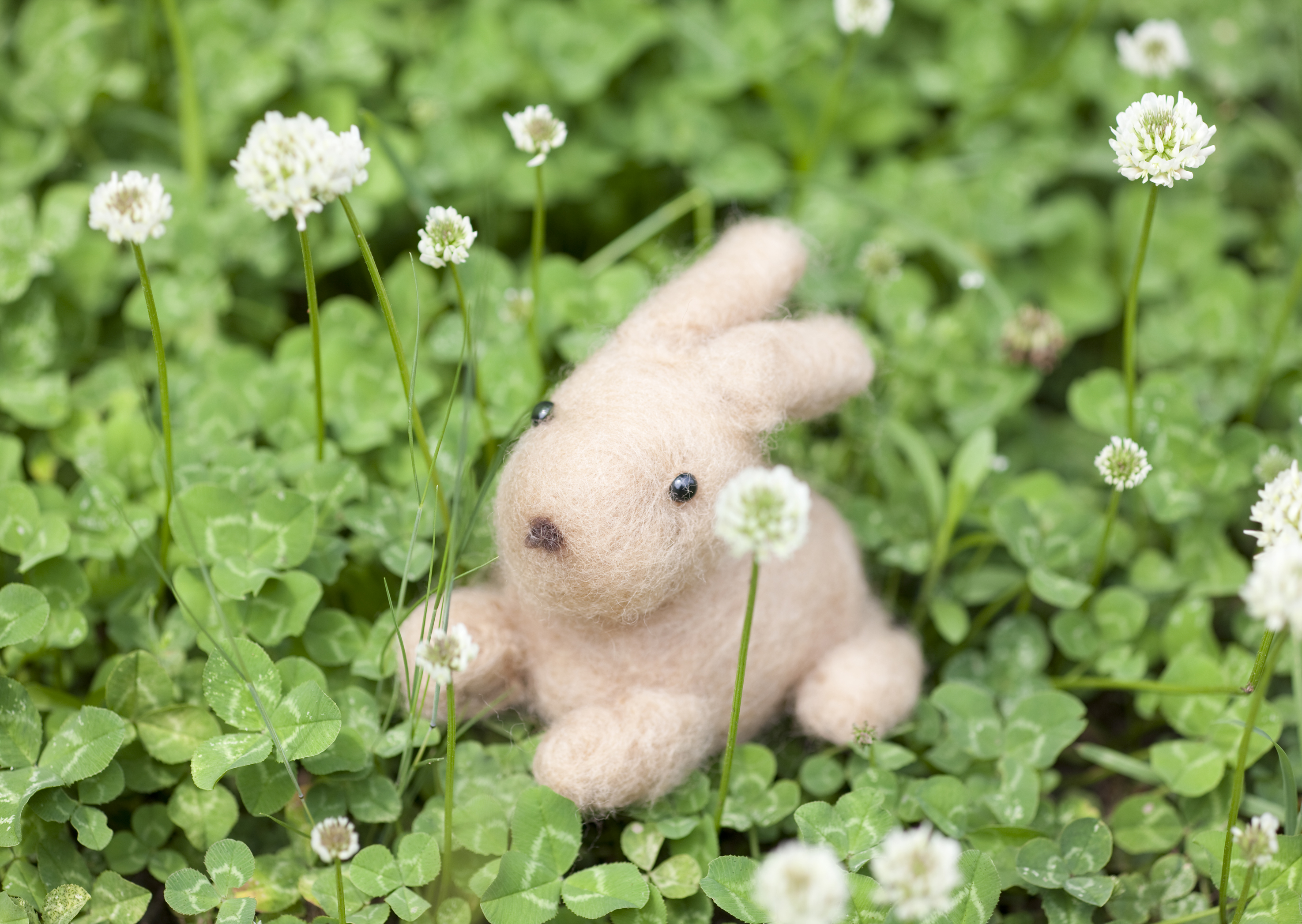 強力バックアップ